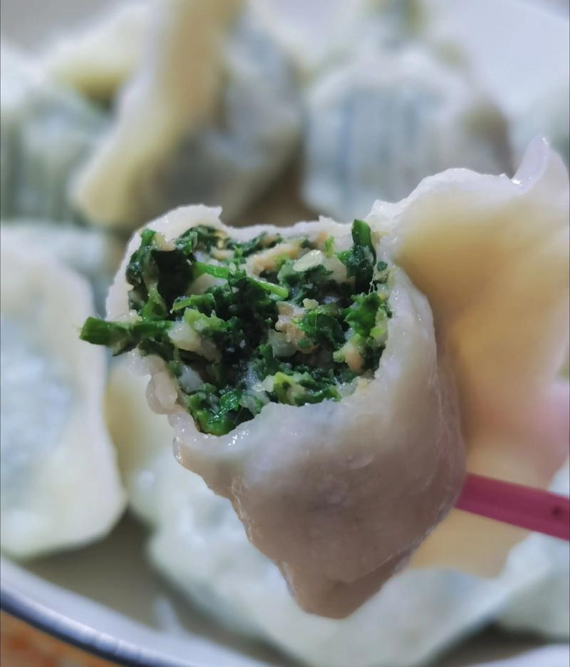 荠菜素饺子馅做法大全_荠菜饺子鲜又香，冻起来方便美味！