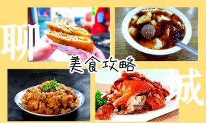 临清特色小吃100种_烧饼夹肉托板豆腐等你尝！