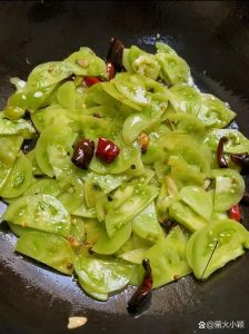 青番茄炒茄子家常做法_煎茄子配番茄酱，酸甜可口，做法简单