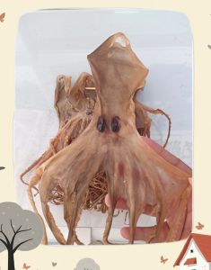 章鱼干的做法大全家常_章鱼干炖炒两相宜，鲜香可口家常味