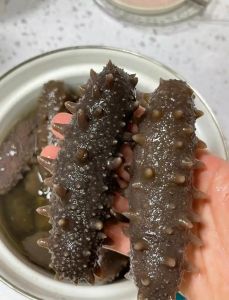 泡发干海参的正确方法_冷水温水蒸煮碱水，选对吃出Q弹！