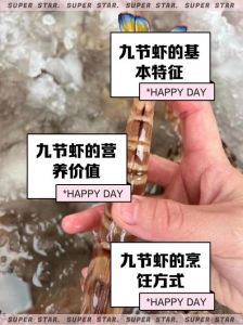九节虾是海鲜吗_鲜美营养，广东鬼虾