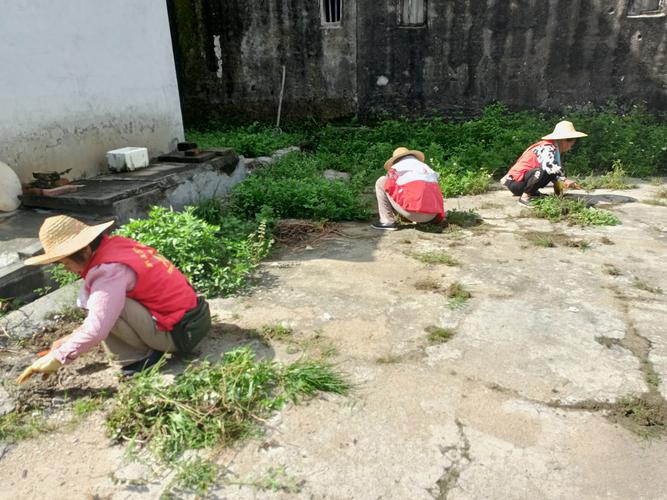 难洗的杂草汁液怎么洗_衣服青草渍难洗？用盐醋酒精轻松除！