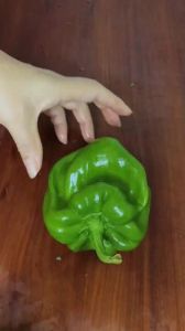 尖椒怎么切菱形图解_菱形辣椒切法，美味营养家常菜