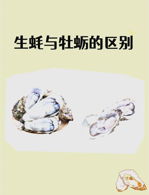 带子和生蚝有什么区别_口感营养大不同