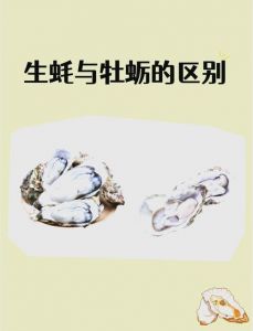 带子和生蚝有什么区别_口感营养大不同