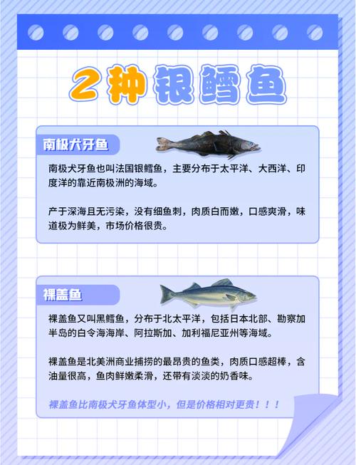 假鳕鱼和真鳕鱼的区别_真鳕鱼怎么挑？看颜色鳞片蒸出来才嫩！