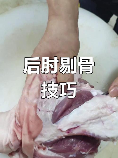 猪肘在什么位置图片_肉质不同，烹饪有别