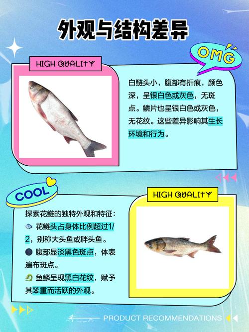 鲢鱼与鳙鱼区别图片_鲢鱼和鳙鱼有什么区别？