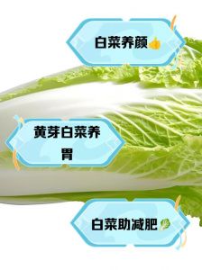 黄白菜又叫什么菜_口感与用途大不同