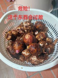 碰了芋头手痒怎么办_芋头引起皮肤痒？冲水冷敷别抓挠！