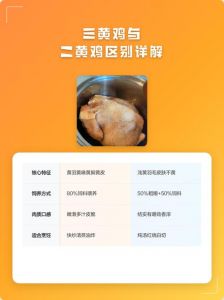 二黄鸡和三黄鸡区别_口感饲养大不同