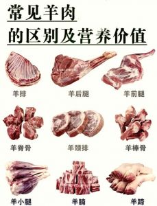 蝴蝶排是羊的哪个部位图解_羊脊背蝴蝶排，嫩滑多汁，简单调味就鲜美！