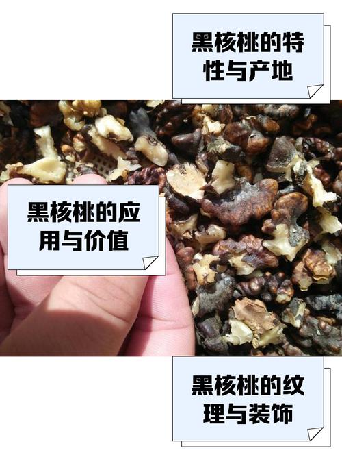山核桃表面黑怎么清洗_山核桃发黑处理方法及注意事项