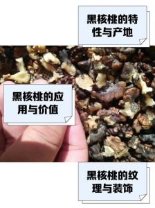 山核桃表面黑怎么清洗_山核桃发黑处理方法及注意事项