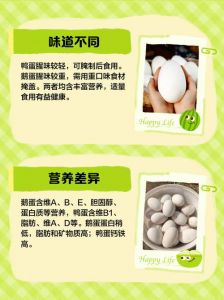 鸭蛋和鹅蛋的区别图片_鸡蛋鸭蛋鹅蛋营养对比，吃蛋有讲究