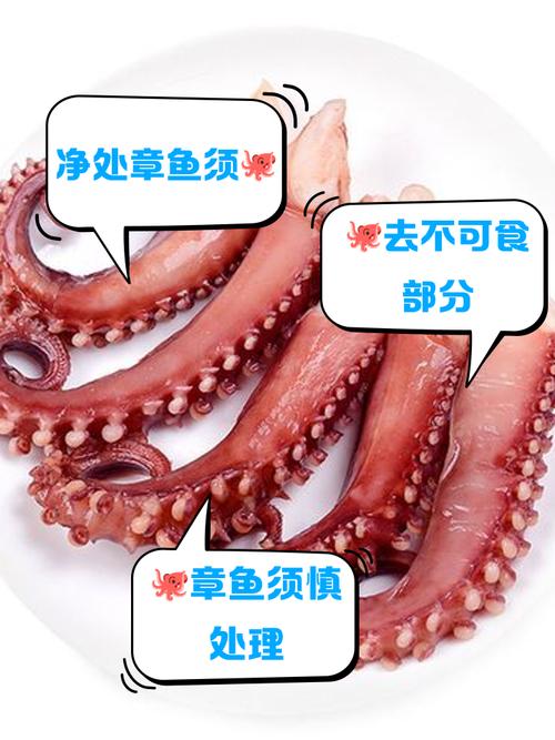 章鱼须怎么处理干净_章鱼须快处理保脆嫩，烹饪多样味道佳