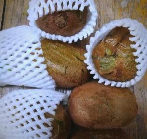 猕猴桃坏了什么样子_猕猴桃变质变软烂？别扔，浇花清洁妙用多！