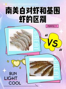 南美白对虾就是基围虾吗_南美白对虾和基围虾怎么区分？