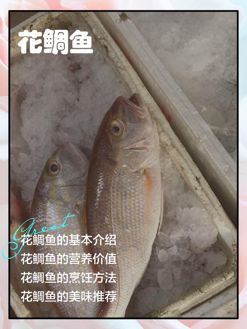 花雕鱼就是红罗非鱼吗_花雕鱼和红罗非鱼,这两种鱼有啥不一样? 花雕鱼就是红罗非鱼吗_花雕鱼和红罗非鱼,这两种鱼有啥不一样?