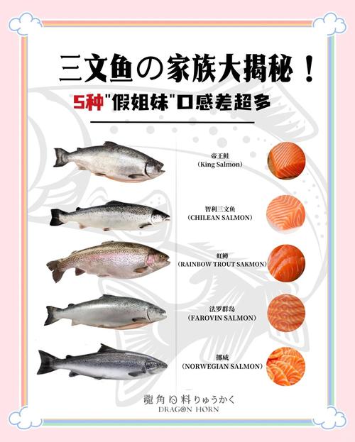 吞拿鱼和三文鱼是一种吗_吞拿鱼三文鱼大不同 吞拿鱼和三文鱼是一种吗_吞拿鱼三文鱼大不同