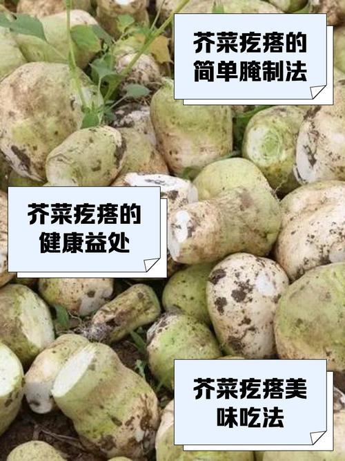 芥菜疙瘩怎么能憋出辣味_腌芥菜丝，细丝发酵出辣味，脆爽开胃！