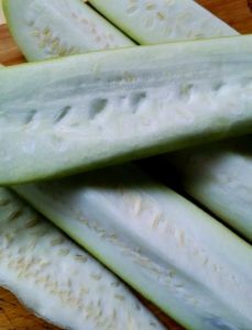 瓠子很硬是没熟吗_瓠子硬软怎么看？成熟度判断技巧