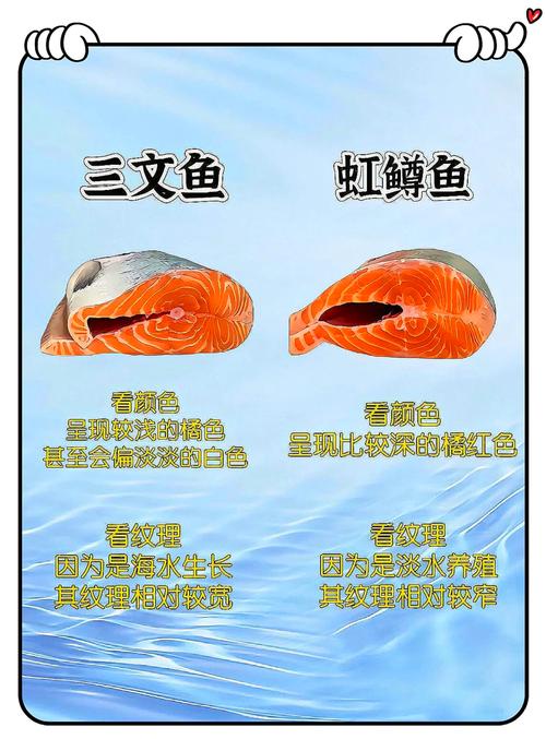 三倍体虹鳟是三文鱼吗_肉质细腻价值高，但生长慢成本高