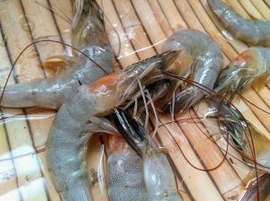 虾米是没长大的虾吗_虾米是干小虾，提鲜营养但要注意盐量