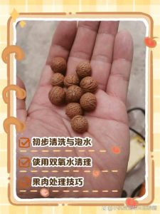 把玩核桃怎么清洗_核桃清洗去碱妙招，轻松养出光亮好核桃