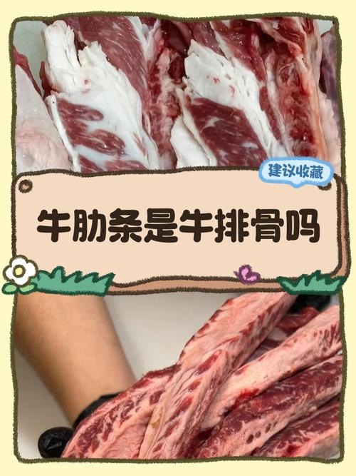 牛排骨和牛肋条的区别_口感风味大不同