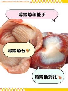 鸡肚是装鸡屎的部位吗_鸡胗鸡肚别混淆，都是好东西！