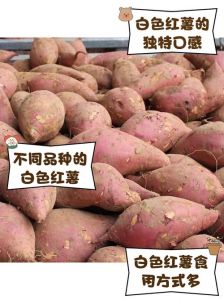 白地瓜就是红薯吗为什么_口感营养大不同