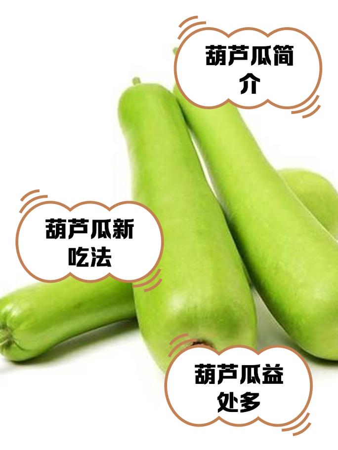 瓠子煮几分钟能熟_瓠子炒煮时间,清脆软糯轻松做! 瓠子煮几分钟能熟_瓠子炒煮时间,清脆软糯轻松做!