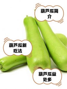 瓠子煮几分钟能熟_瓠子炒煮时间，清脆软糯轻松做！