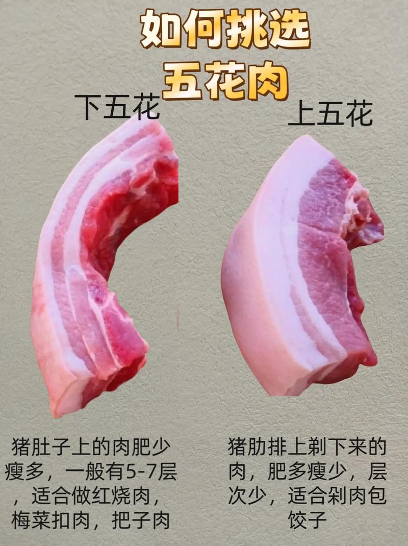 猪腩肉和五花肉的区别_猪腩肉VS五花肉，炖煮与红烧怎么选？