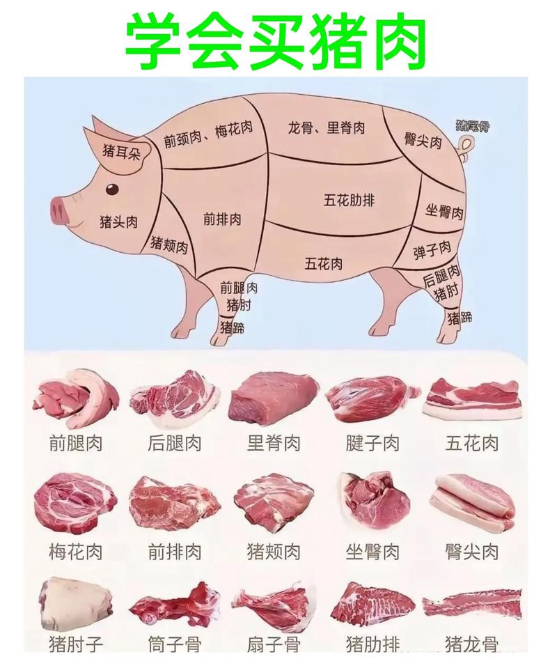 猪胸口肉是什么部位图解_猪肉各部位巧挑选，红烧烧烤全知道！