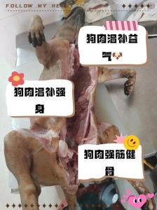 狗肉部位肉详细分解图_狗肉各部位口感风味，教你做香喷喷！