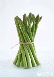 芦笋的图片大全图解_芦笋清洗切片及保存妙招