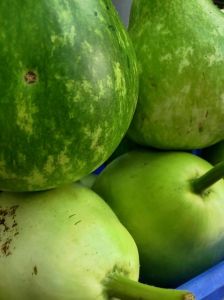 农村种的大瓜叫什么瓜_陕西大荔特色打瓜，清爽味美唤童年回忆