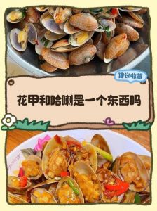 花甲和蛤蜊是一样的吗_花甲蛤蜊有何不同？