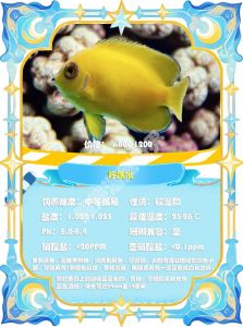 神仙鱼会攻击其他鱼吗_神仙鱼攻击原因及混养注意事项