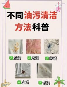 构树汁弄衣服干了怎么洗_新污渍用盐水洗，陈旧污渍用氨水，洗衣液色渍净也有效