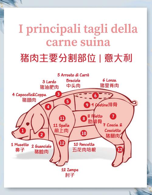 猪二刀肉正确位置图_肥瘦相间，回锅肉理想之选