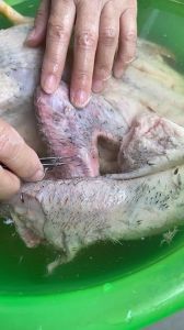 怎么扒鸭毛最快最干净_盐水软化鸭毛根