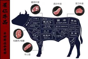 牛板腱的位置图_前软后硬，炖煮有讲究