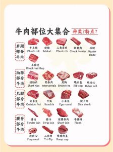 肥牛选哪个部位_肥牛怎么选？部位不同味不同！