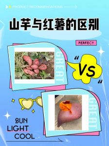 山芋和红薯有区别吗_外形颜色不同，营养食用有别