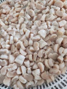 扇贝壳上的是瑶柱吗_瑶柱贝柱别混淆，提鲜煲汤好选择！