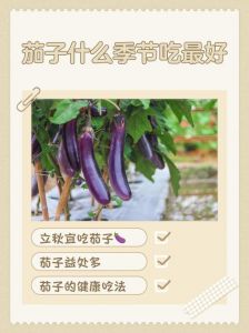 吃茄子为什么会蛰嘴_嘴麻可能是吃茄子没熟或过敏，选熟吃彻底些